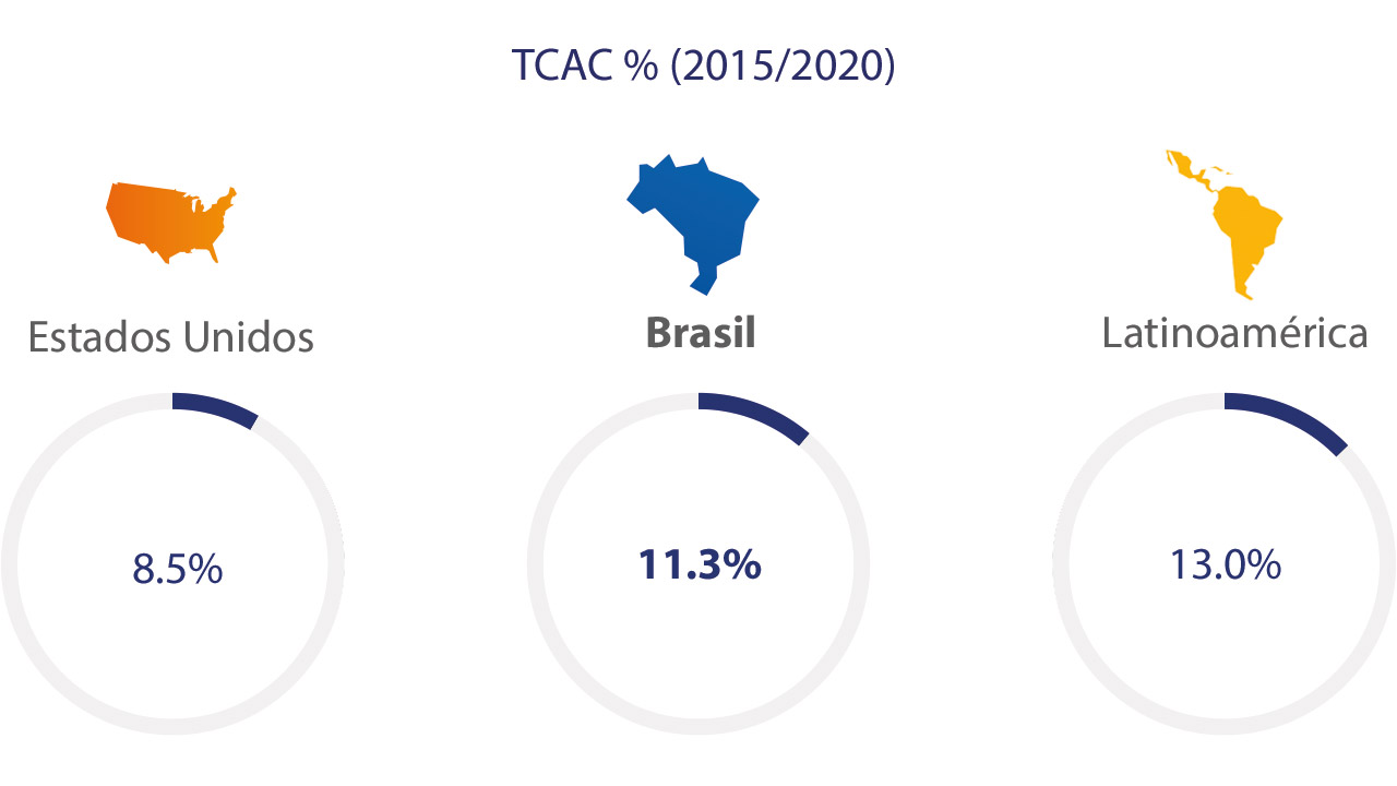 Visa - Brasil, Estadísticas 2015/2020
